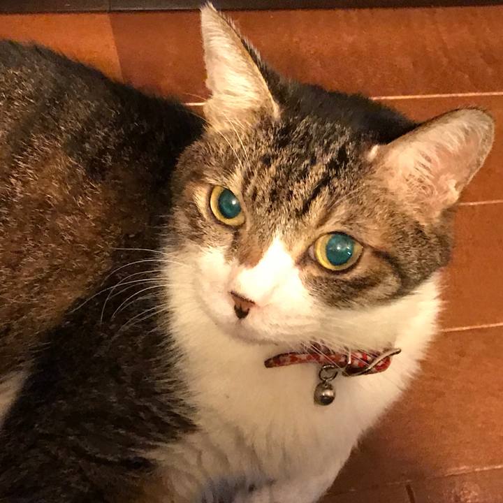 62dbc23f 6d3d 4b04 a31b 2b4bbc982163 1564309990818