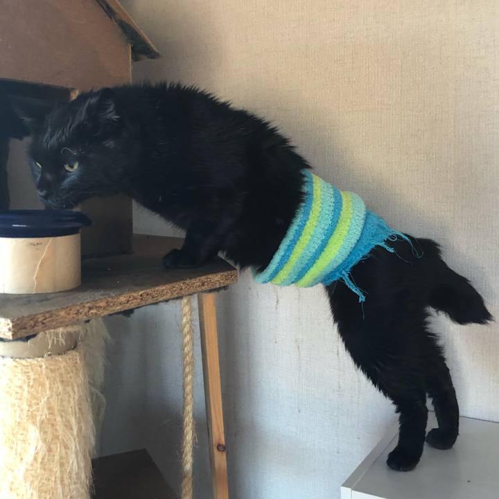 62dbe889 57c7 4daf bf69 ff0eac5dbbf7 1636153099848