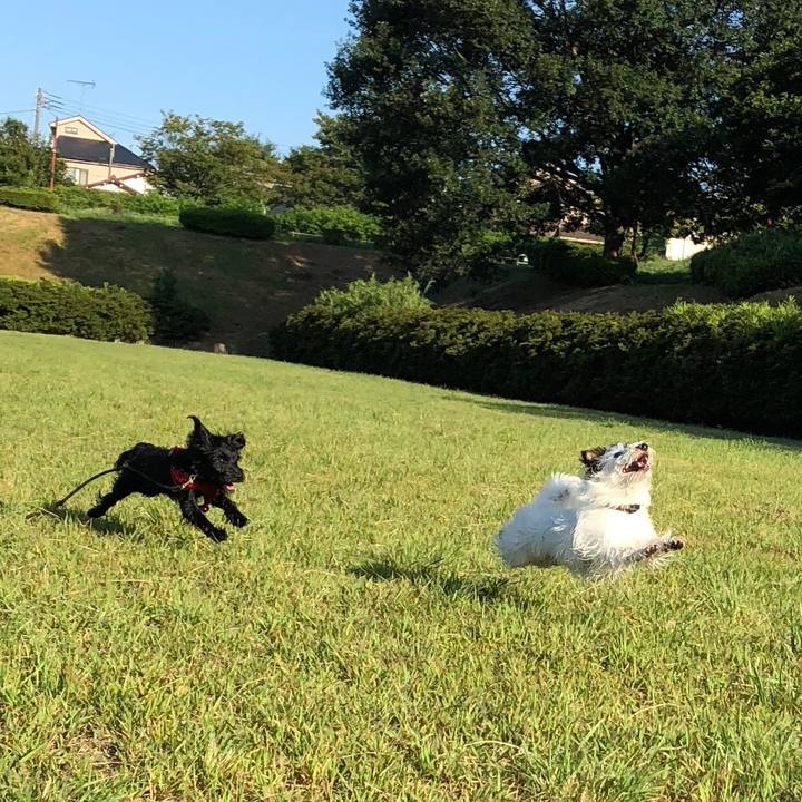 62dc01bd 256c 4fd6 865c 73747ca297d0 1534719184423