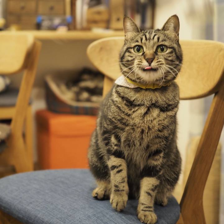 62dc2cf0 d04b 4bc8 a67d 4631afe6ea88 1679133326665