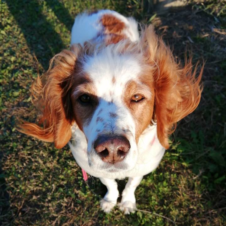 62dc4587 0d9d 49ea aa32 0c58edb76561 1603538928030