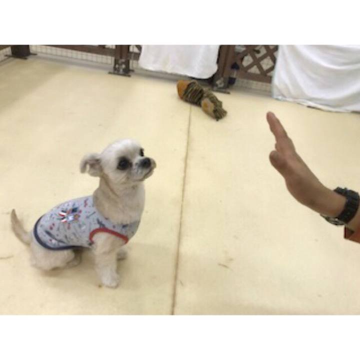 62dc5ed1 7b89 42f9 bd6c a9e9cf891565 1550004282327