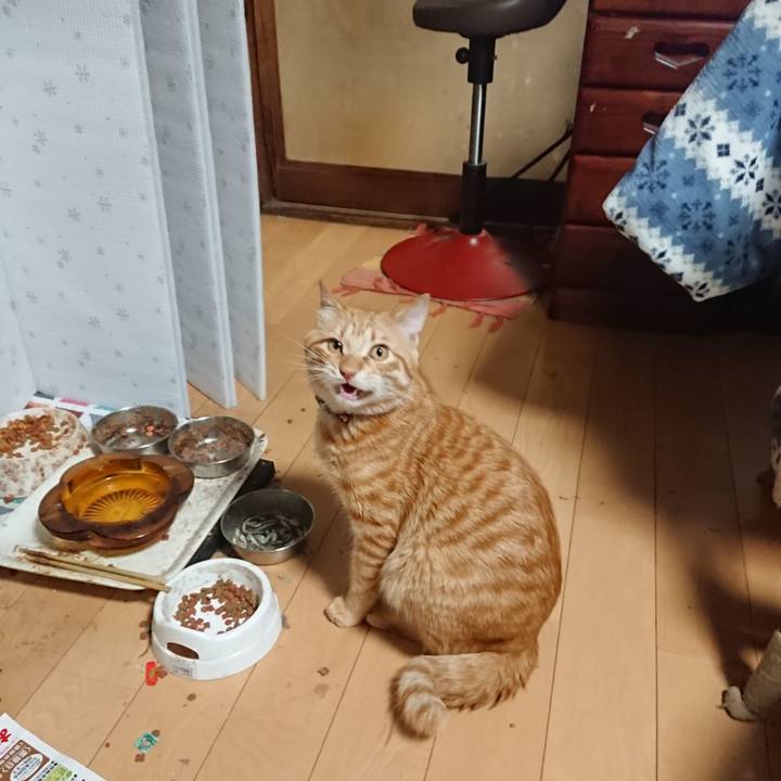 62dc6a06 e397 46ad 8db1 b23e541458d3 1645786485335