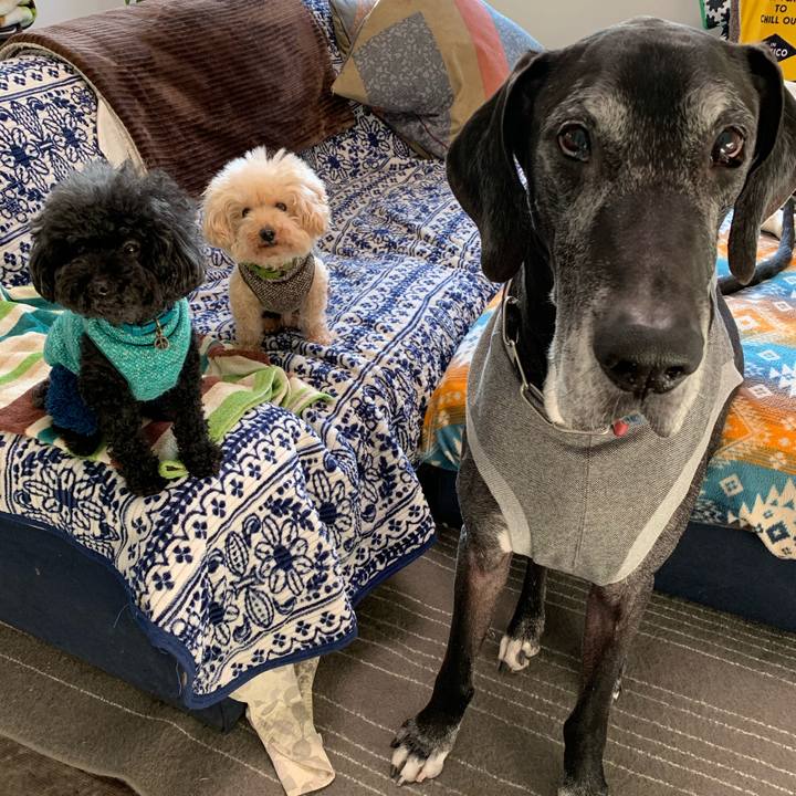 62dc85ae ac70 437a 918b 83cc8fffcfb8 1581288023419