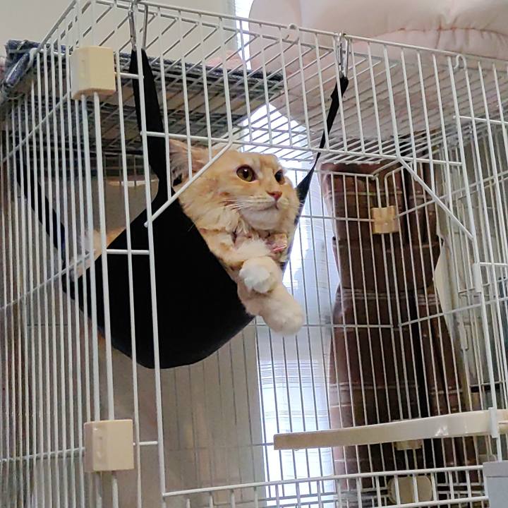 62dccf99 b73d 45dc 8a1f 05a67c75b382 1693730441252