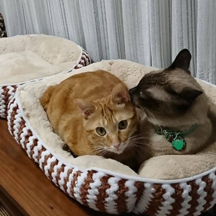 62dd0144 03f4 4164 a686 f8c5bdd7539a 1507817612805