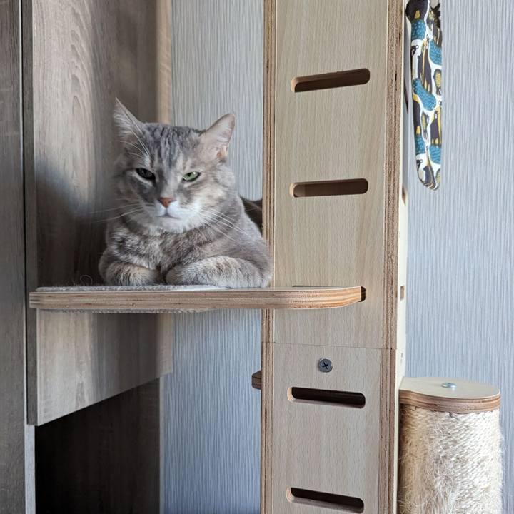 62dd45b1 b813 4dfe a051 2d26bd5cfc02 1698723519460