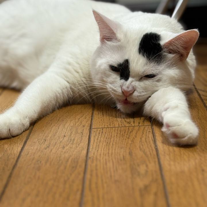 62dd664e 7264 4ea8 9760 17601979edd9 1756519521587