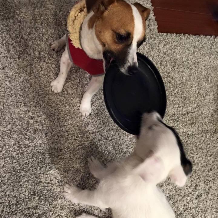 62dd865d 5612 4608 b7af 08d10d2a8b0e 1582757906570