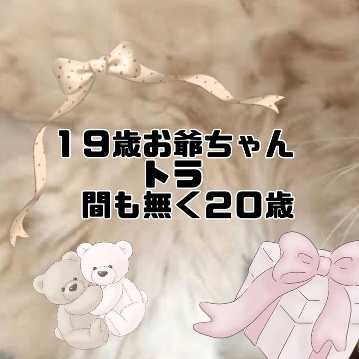 62dd8b73 1179 48c3 b14a ebf21a9f8e0e 1755390763532