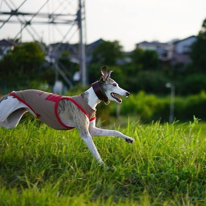 62dda0cb 6de2 42fa b07f 82544550a8a4 1537352627614