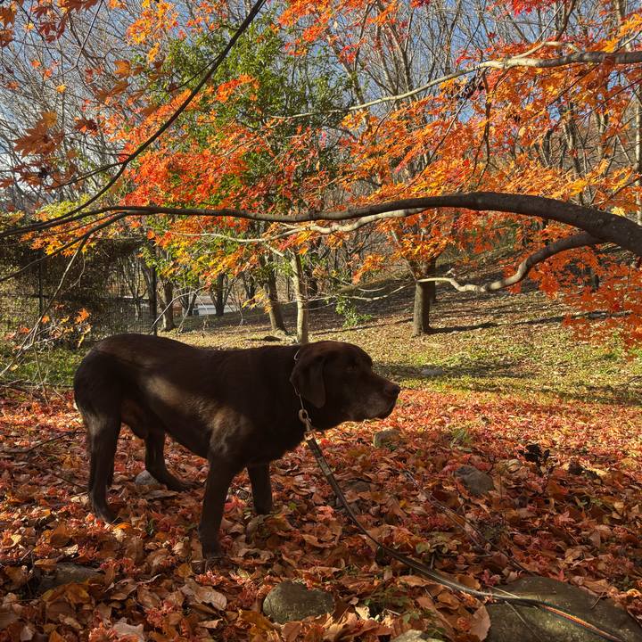 62dda69b 4b22 497a 8769 6b43cf1c3799 1763981593647