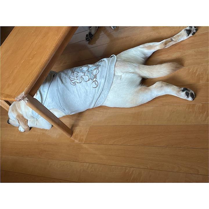 62ddab9d b4a5 4ab8 b783 1dc2e9ce7c6c 1632363666595