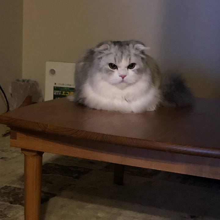 62ddb3a9 b416 4fd9 973d 51db2bd050e2 1611752564659