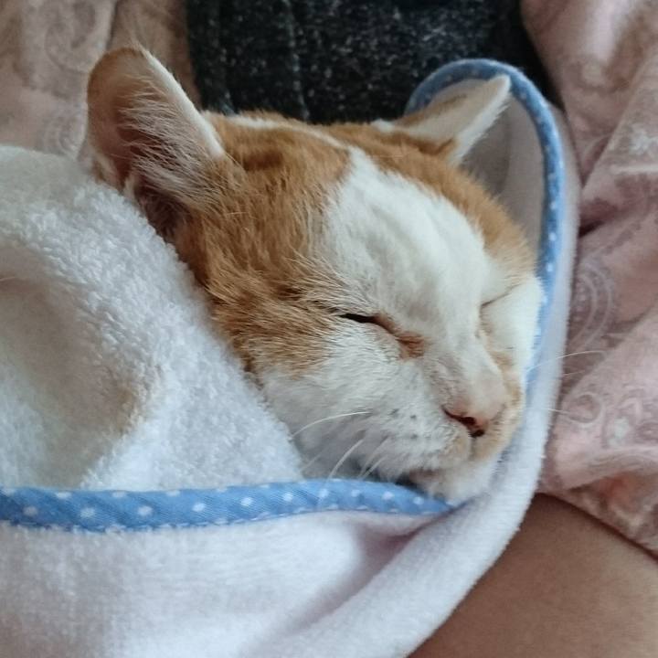 62de03c3 6a12 4f4b 8115 5a17229a644b 1546644126967