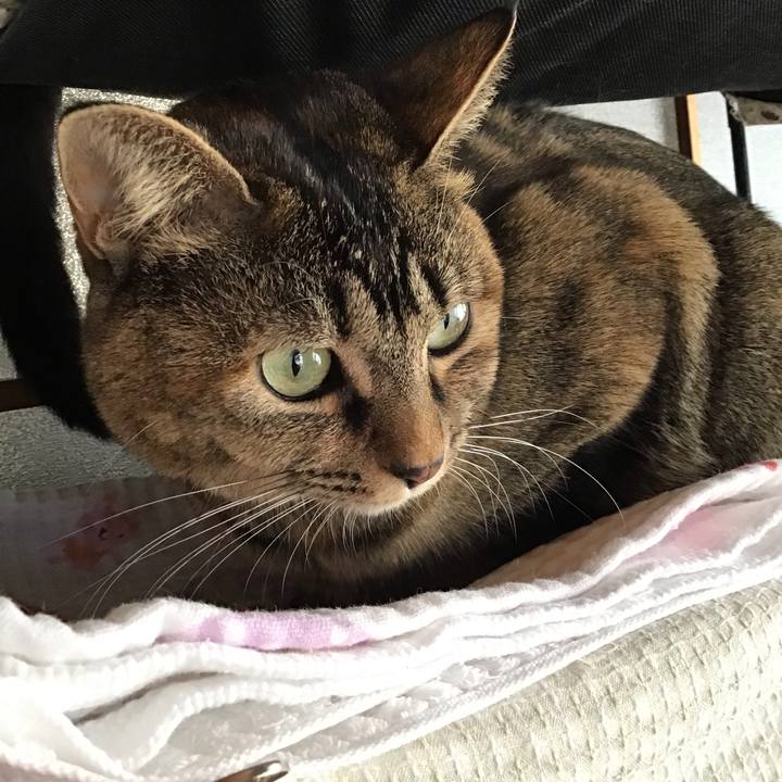 62de175c 80bb 4eab 87ad c479d1a3318a 1638080667732