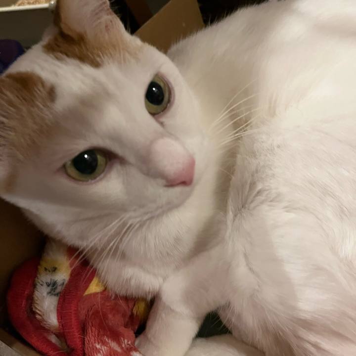 62de1dab 832f 4265 9e6f 4b32be7f4d34 1770388111557