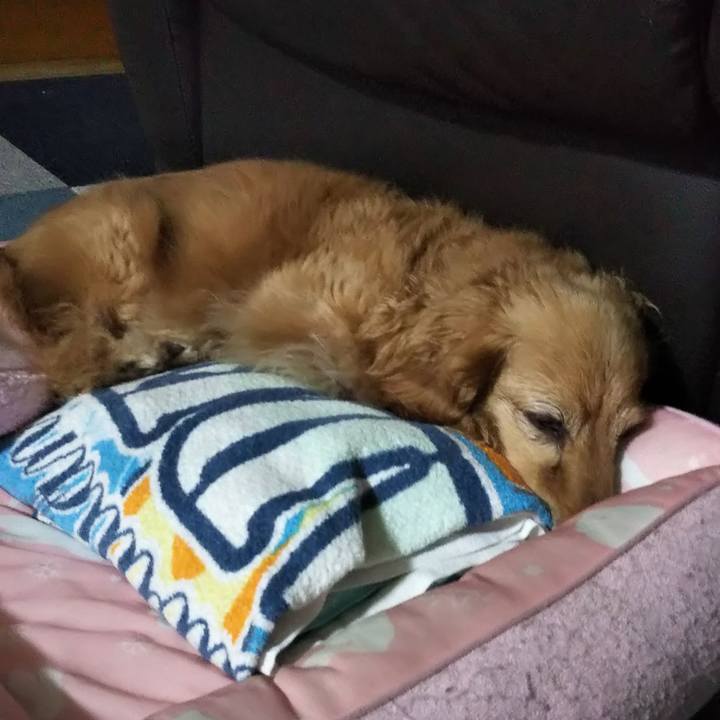 62de218a aecc 4ea5 a29b e35c242c38b1 1594132440927