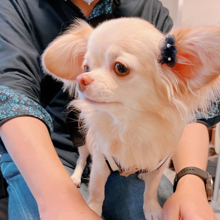 62de2241 dee9 4178 9353 cc9cbf0f6169 1664097297949