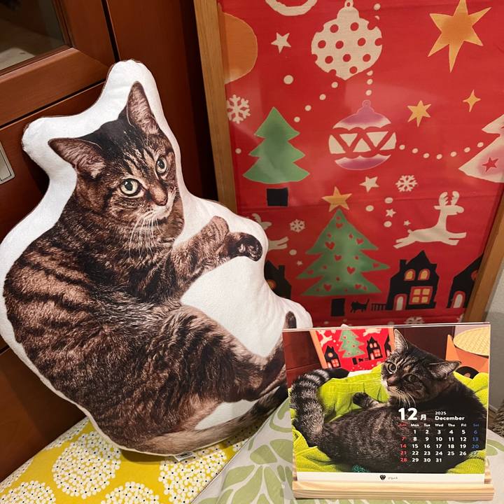 62de4403 7a21 41d4 b11b 7b380416920b 1764593190827