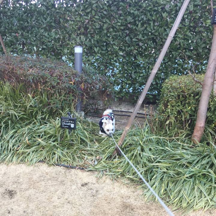 62de54b6 9dff 413d a60e 728979c3cc58 1514972168340