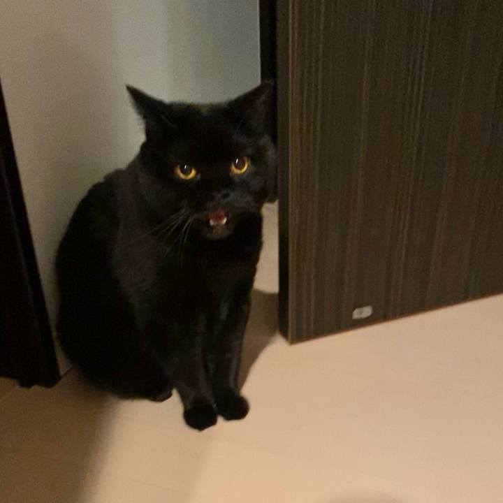 62de8ca2 5f57 4f27 8c65 b7bce7178335 1758023226168