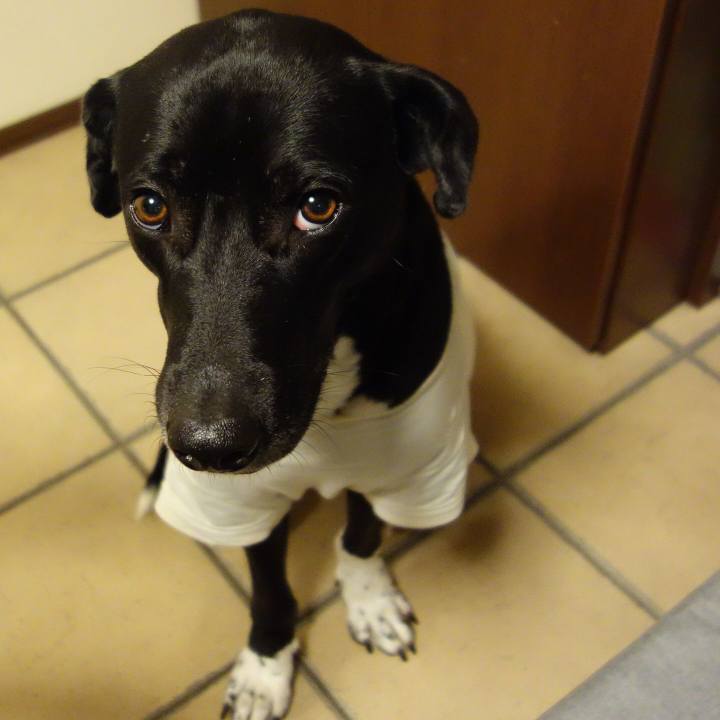 62de9399 a3af 4dbb a96e 0d6f12806390 1613038495167