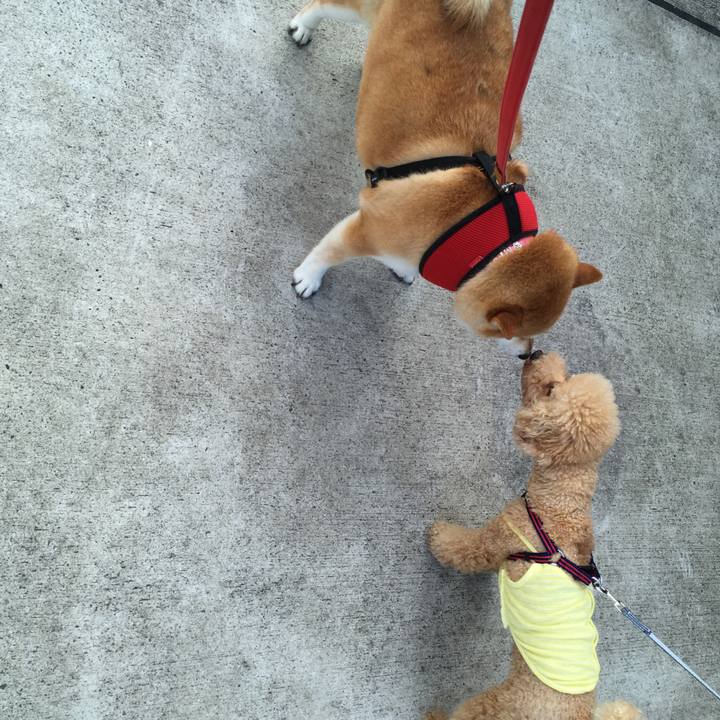 62de998c 86a3 4ccb a8d9 ef3f26e1cc49 1596498043749