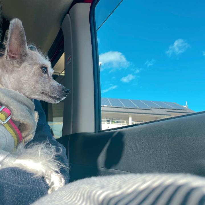 62de9992 a364 416e 9084 bb02496d224b 1767418866406