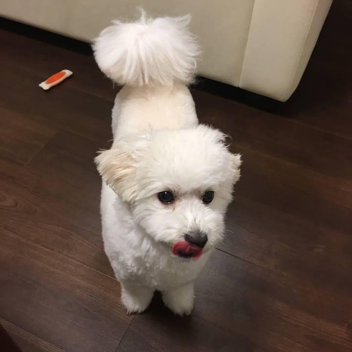 62ded9b0 f535 4d4c a2b6 d269d7aaddc6 1556636227430