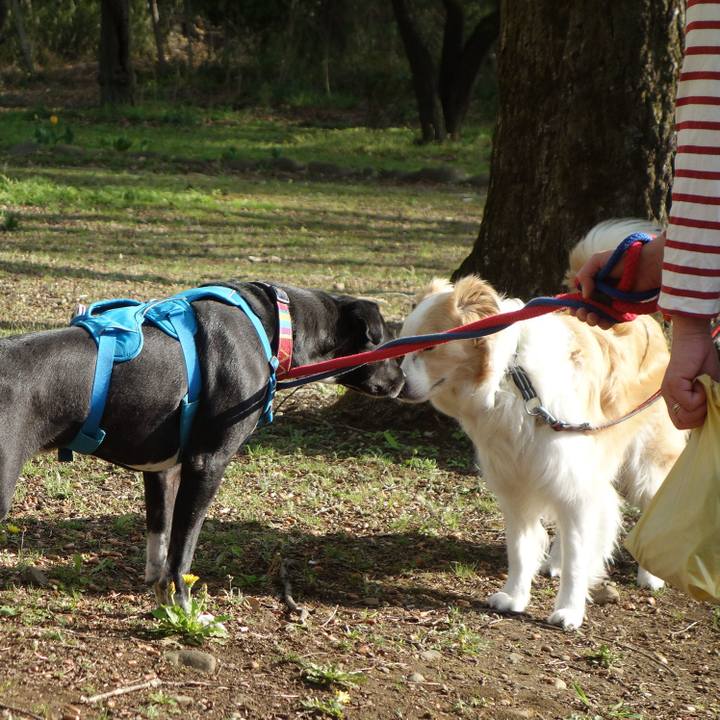 62df2857 cdda 420b 99bf 1f35b1a94edc 1617409997605