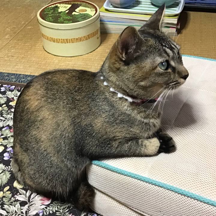 62df2e0d 6a46 4b4f 8ff7 f0a633086dbf 1595922281937