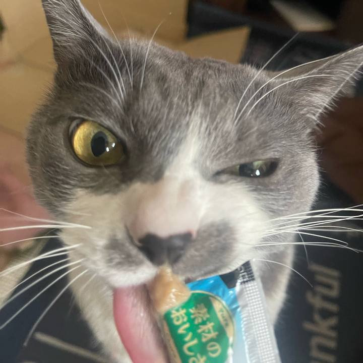 62df3c38 0d78 4216 84e0 a6d41fe5b0ea 1709794202745