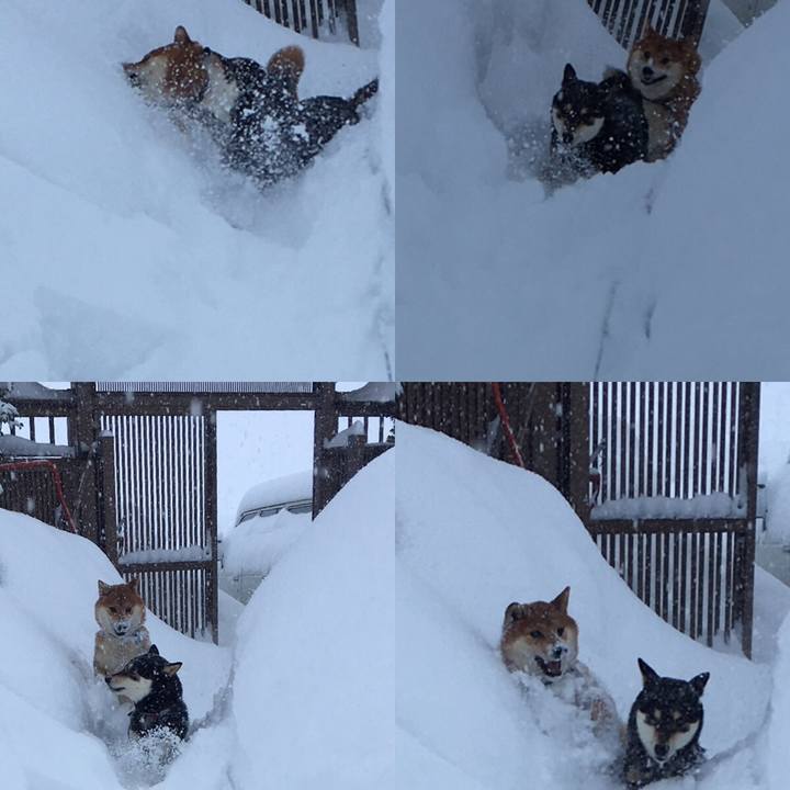 62df5498 2a47 43b4 9760 abd696700df3 1518079663348