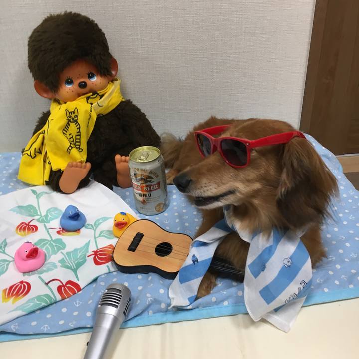 62df5dba 7fb7 4374 bd60 39ba789aa86f 1565469344932