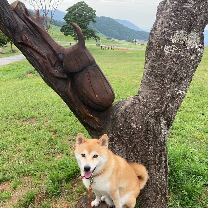 62df7357 9223 4d06 9d0b dc013895cde8 1694675832620