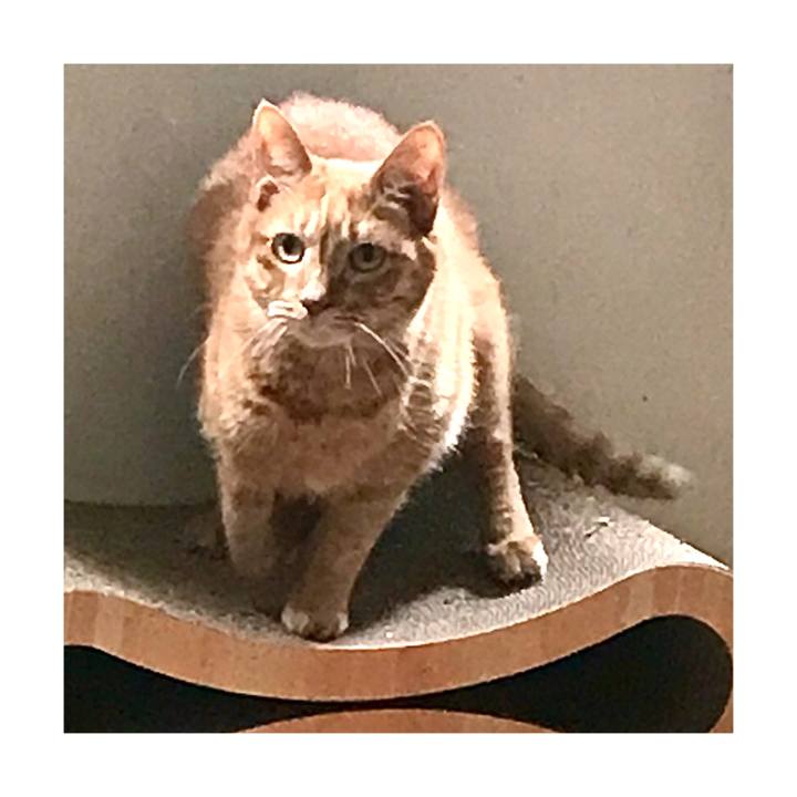 62df80e0 65eb 41c4 bb12 a9424db5deb3 1652520298291