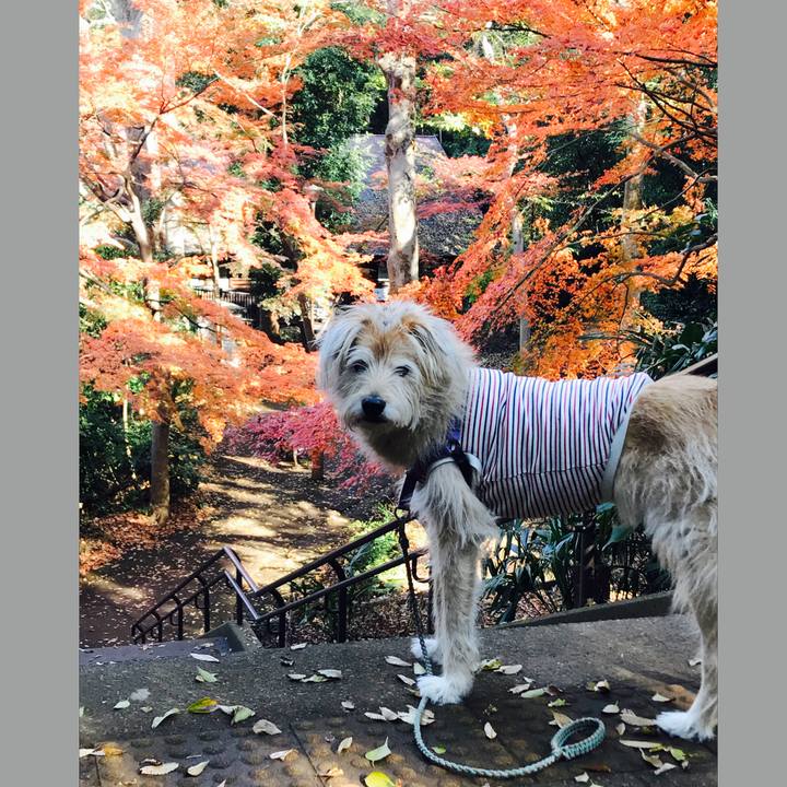 62dfbdb2 e91a 4a64 9506 ec6c91098d7a 1576151821046