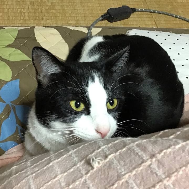 62dfc917 def8 44ad 89c9 737f44d9373a 1672834421517