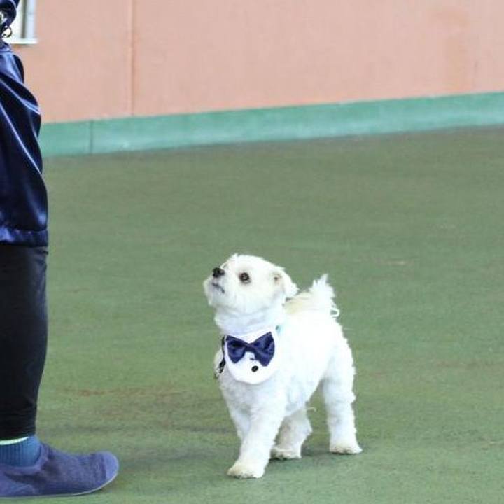 62e00057 f55e 41e3 ad83 78476947ed9e 1576572370519