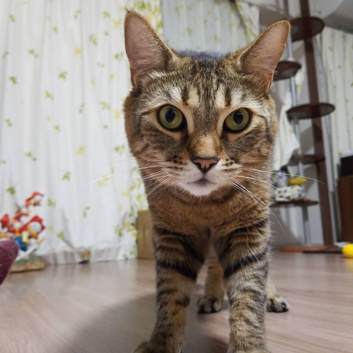 62e09256 068c 4999 bb89 4ac7471be1b3 1585656195248