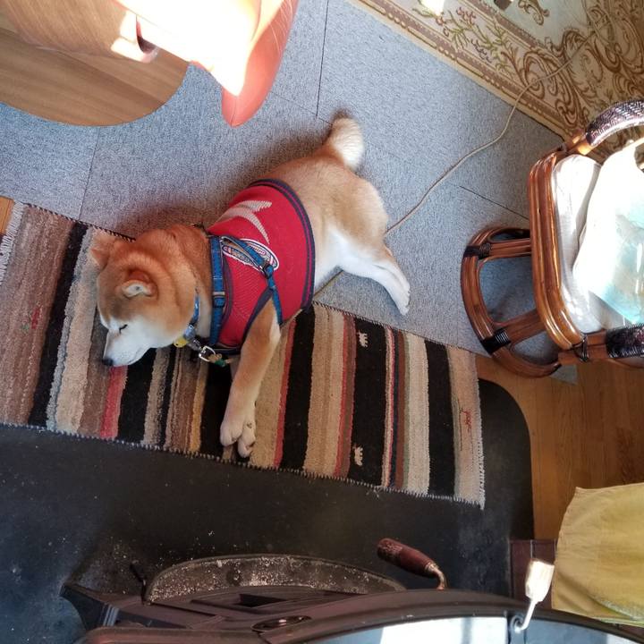 62e0a002 4302 4e89 8395 a5eeb03a5011 1552862559611