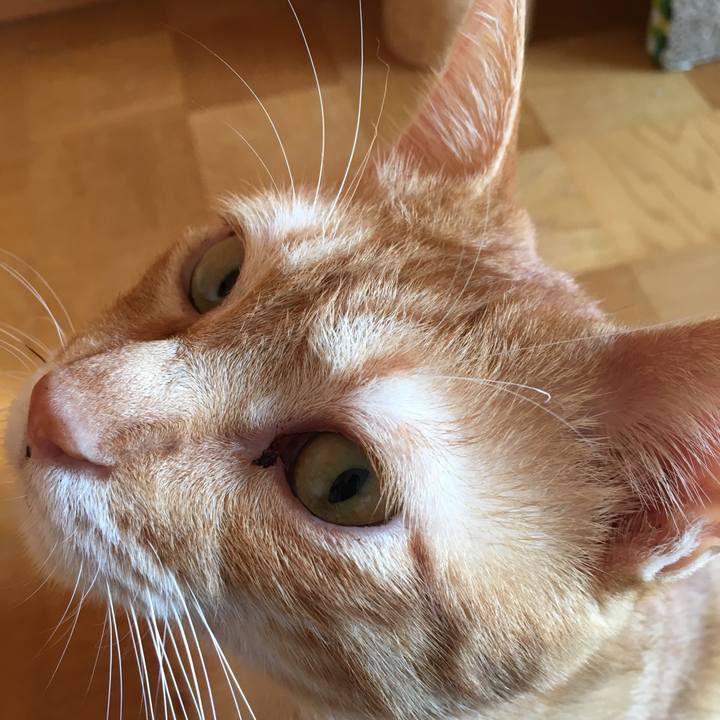 62e0bc95 7ee4 4bb0 ab81 42ada72ea237 1535784897542