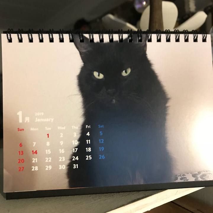 62e0d652 7ff1 466d 9c1b eba9ffd8f50e 1546352803402