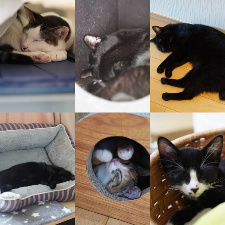 62e0d7b5 db14 4f9c 9ca1 38dc426688f8 1569245973294