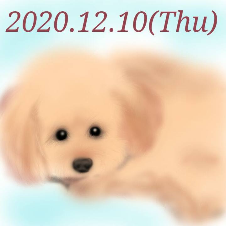62e12bcf 4c1c 4bbb bdaf 0d61016d8480 1607599182138