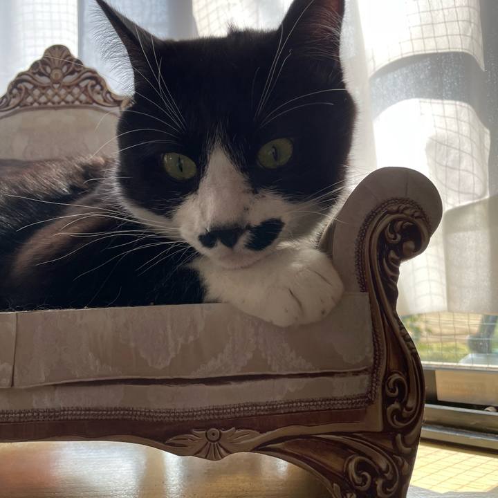 62e174bd ad99 46cb 901f b655eb3cfa80 1678330684919