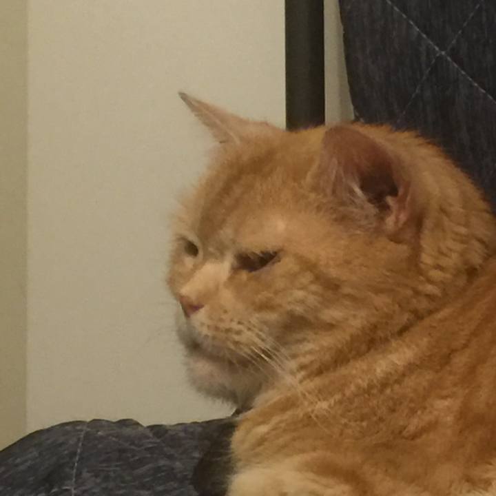 62e18c60 7e23 4a5f a8f8 2762e1c5873f 1559661910165