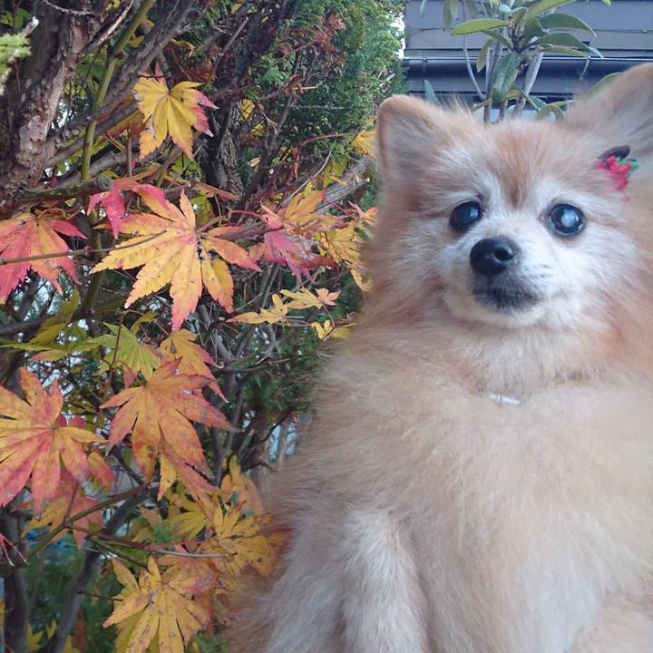 62e1a553 d119 4a3e b541 2d2a59106198 1605306392236