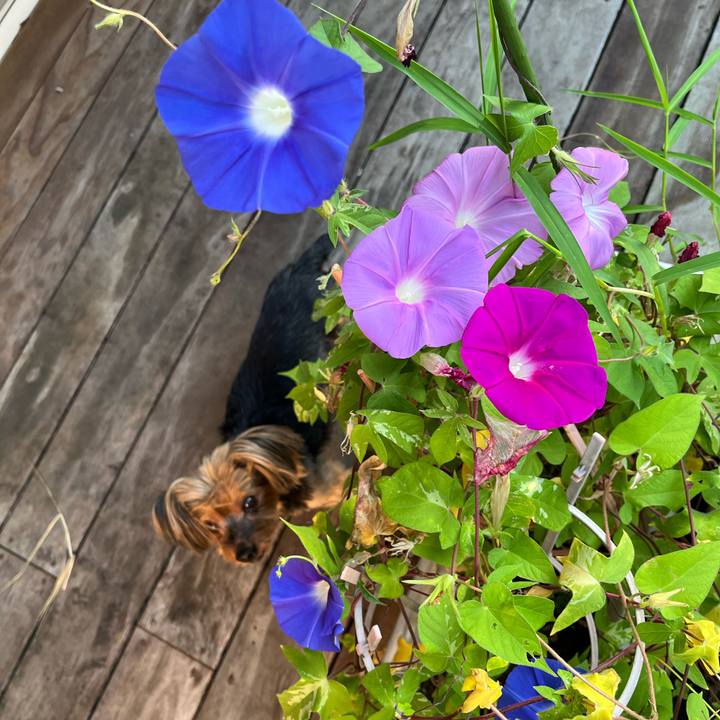 62e1d0ff 2221 4b33 a3ba 71fe4af33a10 1726009881249